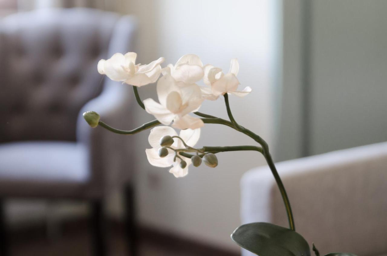 Hotel Unterbrunn Apartments & Gaestehaus Neukirchen am Großvenediger Εξωτερικό φωτογραφία